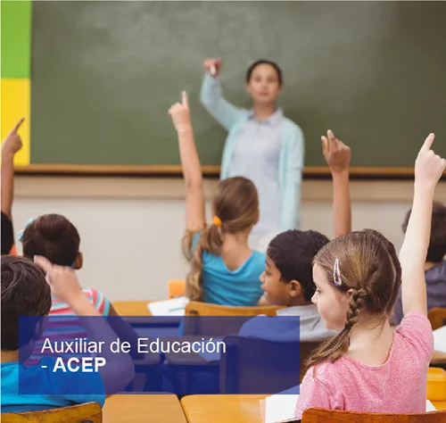 auxiliar_educacion