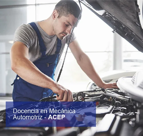 Docencia en Didáctica de la Matemática