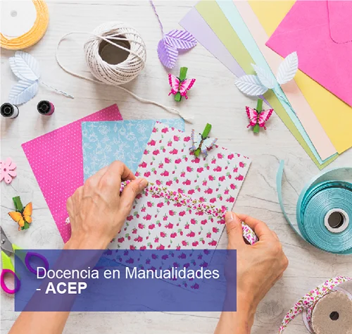 Docencia en Educación Física