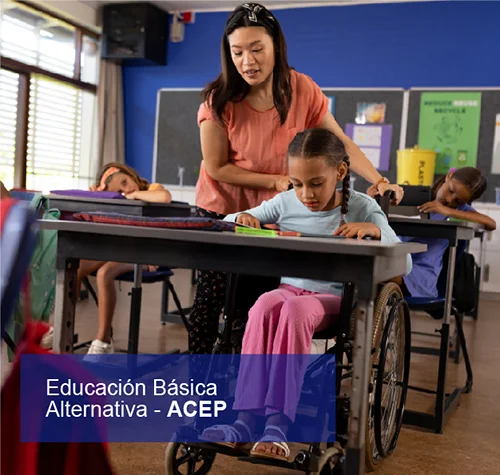 Educación Básica Alternativa