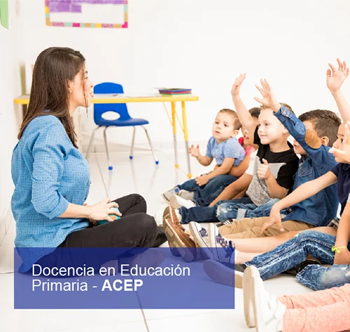 Docencia en Educación Primaria